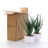 Simulated soft rubber aloe vera artificial flower set, white ceramic potted green plants, succulent plant decorative ornaments, cross-border pet gardening Item Picture